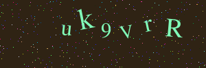 Validation image