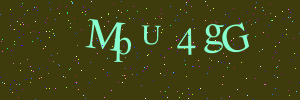 Validation image